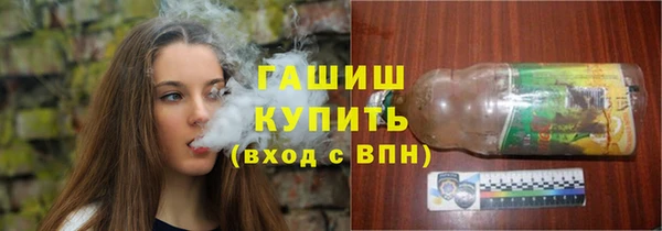 прущий лед Алзамай