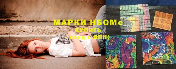 прущий лед Алзамай