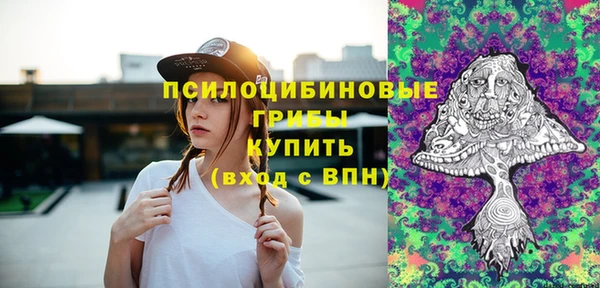 spice Алексин