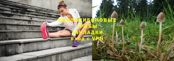 прущий лед Алзамай